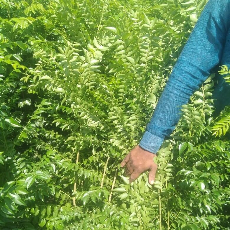 WhatsApp Image 2026-06-19 at 1.33.31 PM (2)