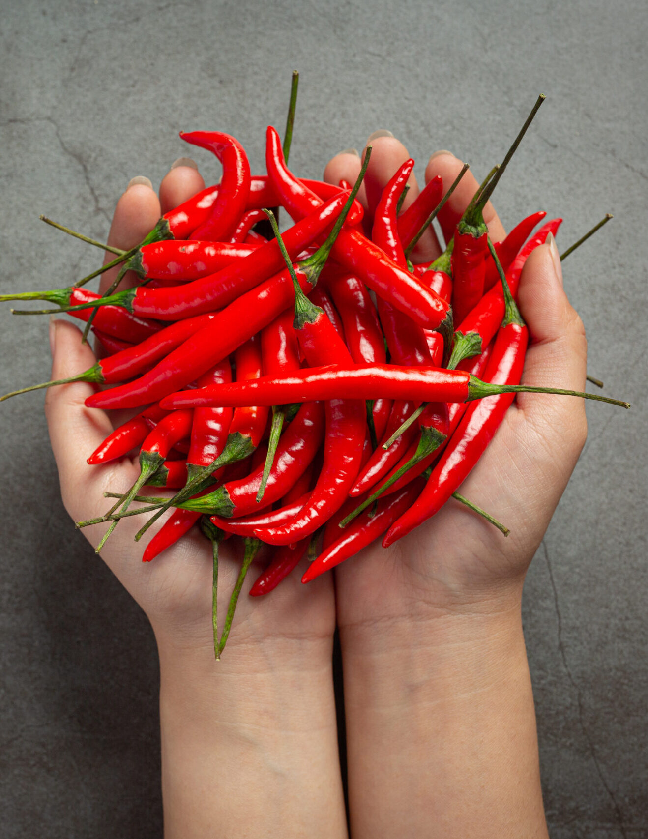chilli pepper on dark backgroud