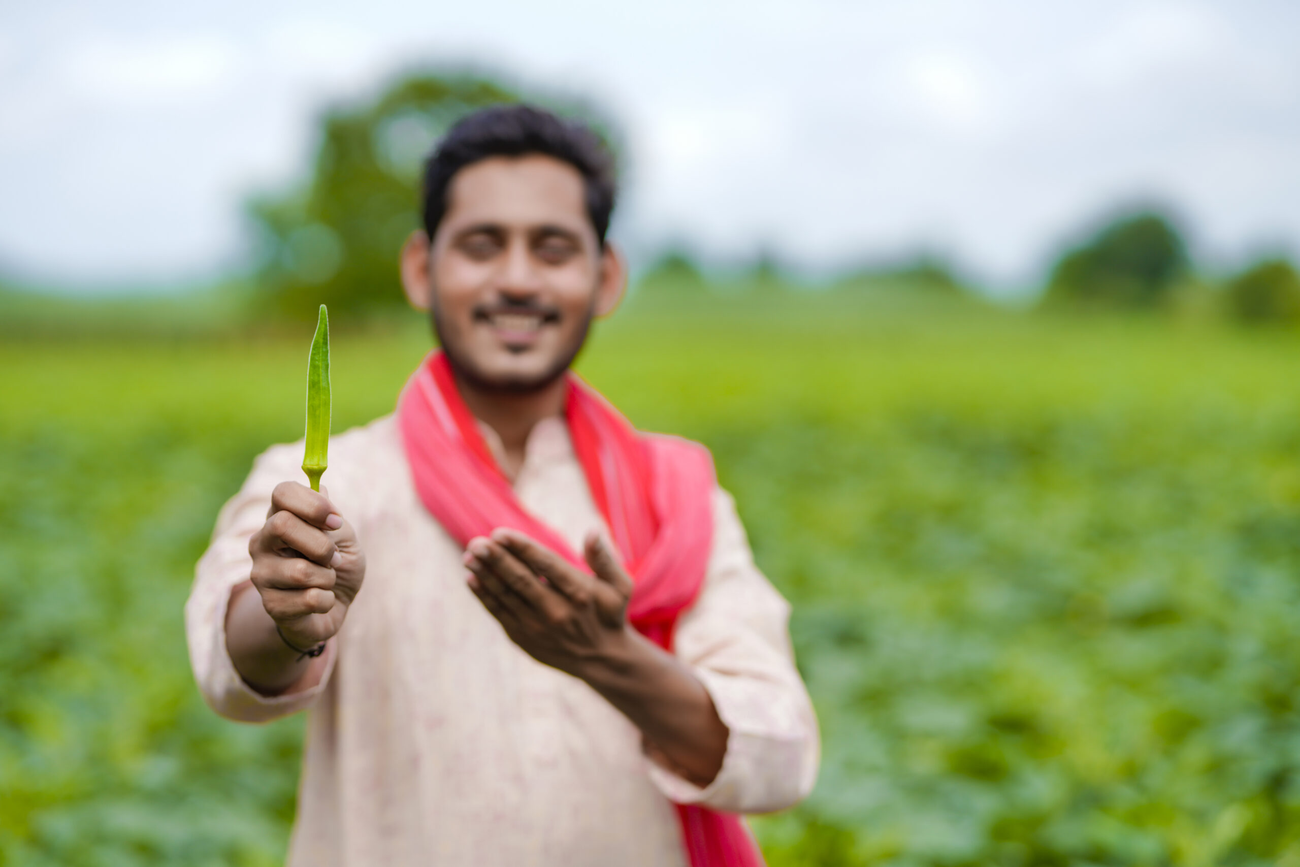 Indian farmer standing and holding ladyfinger in hand at agriculture field.
